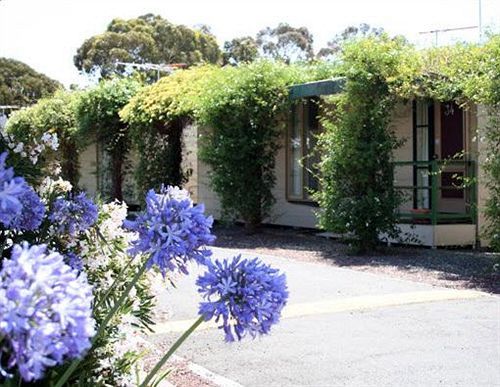West City Motel Ardeer Exterior photo